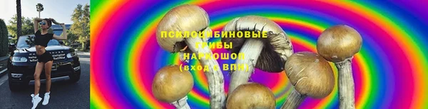 прущие грибы Богданович