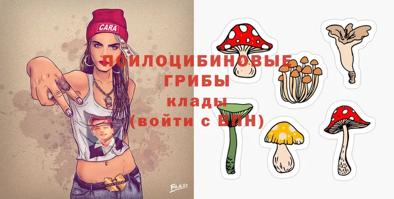 купить  цена  Североморск  Псилоцибиновые грибы Magic Shrooms 